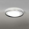 CEILING LIGHT 37 CM DIAM. 2 X E27 STAINLESS STEEL+BLACK INTERIOR