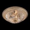 CEILING LIGHT FIXTURE V53-596C-03 - CEILING LIGHTS
