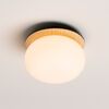 WALL-CEILING LIGHT 1 X G9, 4,8W, ASH WOOD DECORATIVE SHADE, OPAL GLASS