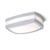SONYA RC  ΓΚΡΙ ΑΣΗΜΊ  230V LED E27 2X15W IP54 - ΤΟΊΧΟΥ ΦΩΤΙΣΤΙΚΆ 