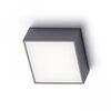 BONO ΕΠΙΦΆΝΕΙΑΣ ΓΚΡΙ ΑΝΘΡΑΚΊΤΗ  230V LED 4W IP65  3000K - ΤΟΊΧΟΥ ΦΩΤΙΣΤΙΚΆ 