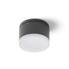 ORIN R ΟΡΟΦΉΣ ΓΚΡΙ ΑΝΘΡΑΚΊΤΗ ΑΚΡΥΛΙΚΌ ΣΑΤΈΝ 230V LED 10W IP54  3000K - ΟΡΟΦΉΣ ΦΩΤΙΣΤΙΚΆ 