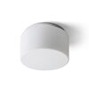 ARANA R 27 ΟΡΟΦΉΣ  ΓΥΑΛΊ ΟΠΆΛ/ΧΡΏΜΙΟ 230V LED E27 15W IP44 - ΟΡΟΦΉΣ ΦΩΤΙΣΤΙΚΆ 