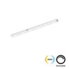 LINEAR ANTIGLARE ΓΙΑ ΛΕΥΚΉ ΜΑΓΝΗΤΙΚΉ ΡΆΓΑ L300 SLIM MAGNETIC - ΕΞΑΡΤΉΜΑΤΑ ΦΩΤΙΣΤΙΚΏΝ