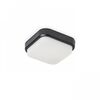 TARIS SQ 17 ΕΠΙΦΆΝΕΙΑΣ ΜΑΎΡΟ ΠΛΑΣΤΙΚΌ 230V LED 8W IP54  3000K - ΟΡΟΦΉΣ ΦΩΤΙΣΤΙΚΆ 