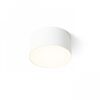 LARISA R 12 ΟΡΟΦΉΣ ΛΕΥΚΌ  230V LED 10W  3000K - ΟΡΟΦΉΣ ΦΩΤΙΣΤΙΚΆ 