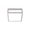 01376 SILVER - CEILING LIGHTS