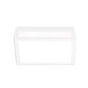 01376 WHITE - CEILING LIGHTS
