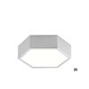 01298 BLACK - CEILING LIGHTS