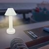 ΜΟΝΤΈΡΝΑ ΦΩΤΙΣΤΙΚΆ ΜΊΝΙΜΑΛ > ΕΠΙΤΡΑΠΆΖΙΑ >   TABLE LAMP RECHARGEABLE   01408 BROWN HEIGHT: 22,5 CM DIAMETER: 9 CM BASE DIAMETER: 6 CM MATERIAL: ALUMINIUM LIGHTING SOURCE: 3W 5V LED, 240 LM LIGHT COLOR: 3000K RECHARGEABLE BATTERY: - ΕΠΙΤΡΑΠΈΖΙΑ ΦΩΤΙΣΤΙΚΆ