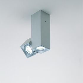 CEILING LIGHT 2 X GU10 LED BULB BRUSHED ALUMINIUM