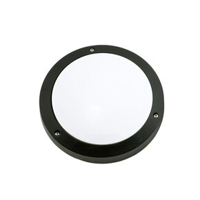 ALUMINUM CEILING > CEILING 398 BLACK - WALL LIGHTS