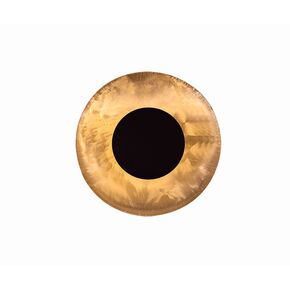 01373 BLACK - MODERN LIGHTING