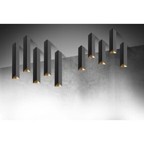 01141 BLACK/GOLD - CEILING LIGHTS