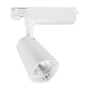 SPOT ΡΑΓΑΣ LED ΡΥΘΜΙΖΟΜΕΝΟ 30W 3000K - ΡΆΓΕΣ & ΣΠΟΤ
