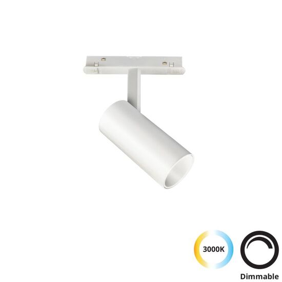 ΑΡΧΙΤΕΚΤΟΝΙΚΌΣ ΦΩΤΙΣΜΌΣ, MAGNETIC WHITE, ΣΠΟΤ TRACK ΛΕΥΚΌ 10W MAGNETIC (DIMMABLE), D: 48, H:120 - ΡΆΓΕΣ & ΣΠΟΤ